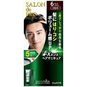 【あす楽対応】【ダリヤ】 サロンドプロ EX メンズヘアマニキュア 6 ダークブラウン 1セット 【日用品】