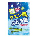  塩+クエン酸入りぶどう糖 20粒 