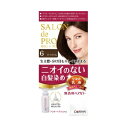 【ダリヤ】 サロンドプロ 無香料ヘアカラー 乳液 白髪用 6 ダークブラウン 1セット (医薬部外品) 【日用品】