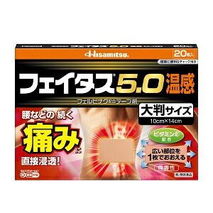 【あす楽対応】フェイタス5．0％大判温感　20枚 1