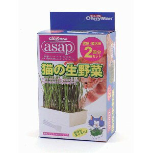【ドギーマン】 キャティーマン アサップ asap 猫の生野菜 2回分 1 箱 【日用品】のサムネイル