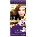 【ダリヤ】 SP 泡のヘアカラーエクストラリッチ3 1個 (医薬部外品) 【化粧品】
