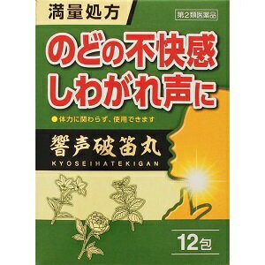 【ジェーピーエス製薬】 響声破笛丸エキス顆粒G 12包 【第2類医薬品】のサムネイル