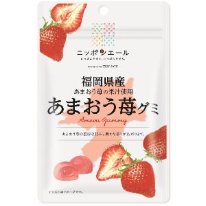「セット販売」「全国農協食品」 福岡県産あまおう苺グミ 40g×10個セット