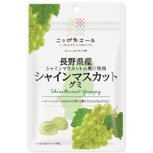 「セット販売」「全国農協食品」 長野県産シャインマスカットグミ 40g×10個セット