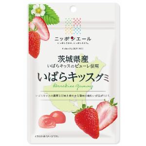 「セット販売」「全国農協食品」 茨城県産いばらキッスグミ 40g×10個セット