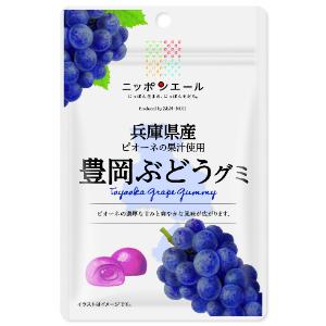 「セット販売」「全国農協食品」 兵庫県産豊岡ぶどうグミ 40g×10個セット