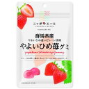 「セット販売」「全国農協食品」 群馬県産やよいひめ苺グミ 40g×10個セット