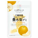 「セット販売」「全国農協食品」千葉県産豊水梨グミ 40gx10個【使用期限2025/07/31までの為売り切り処分価格】【返品不可】
