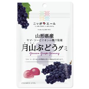 「セット販売」「全国農協食品」 山形県産月山ぶどうグミ 40g×10個セット