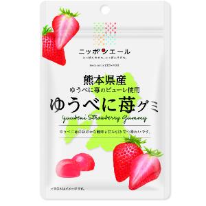 「セット販売」「全国農協食品」 熊本県産ゆうべに苺グミ 40g×10個セット