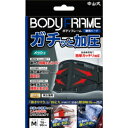 「中山式産業」 中山式 ボディフレーム腰用ハード M _