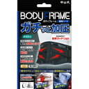 「中山式産業」 中山式 ボディフレーム腰用ハード L _