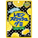 「セット販売」「不二家」 レモンスカッシュグミ 47g 10個セット(4)
