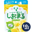 「セット販売」「サラヤ」 しおまるひんやり レモンサイダー味 30g 10個セット