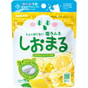 「サラヤ」 しおまるひんやり レモンサイダー味 30g
