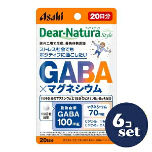 「セット販売」「アサヒグループ食品」ディアナチュラスタイル　GABA×マグネシウム 20日分　40粒　6個セット