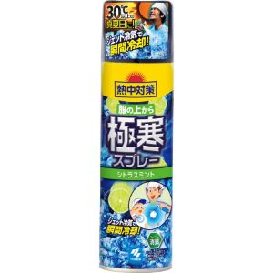 【あす楽対応】【小林製薬】 熱中対策 服の上から極寒スプレー シトラス 330mL 【日用品】