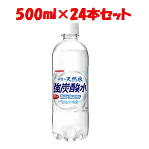 【あす楽対応】「日本サンガリア」　伊賀の天然水強炭酸水　500ml PET　ケース　500ml×24本