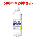 日本サンガリア 伊賀の天然水強炭酸水レモン 500ml PET ケース 24本 500ml【使用期限2024 05 05までの為売り切り処分価格】【返品不可】