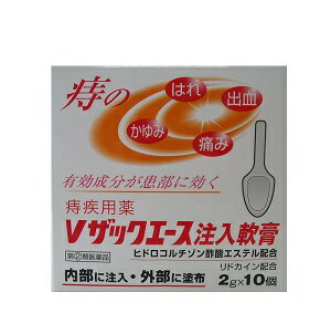 【中外医薬生産】 Vザックエース注入軟膏 2g×10個 【第(2)類医薬品】