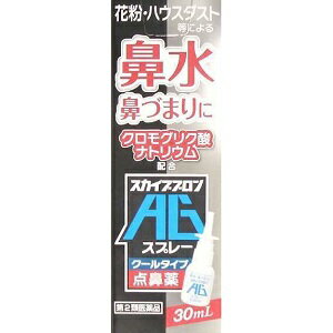 楽天薬のファインズファルマ楽天市場店【あす楽対応】【雪の元】 スカイブブロンAGスプレー 30ml 【第2類医薬品】