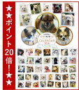 ＼ワンダホー／平成最後のいぬ年カレンダー2018【ミックス犬】