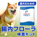 愛犬用腸内フローラ検査キット【犬腸博士(わんちょうはかせ)】 ペット 老犬 小型犬 高齢犬 シニア犬 健康 下痢 軟便 免疫 肥満 アトピー 皮膚炎 乳酸菌 腸内バイオーム サプリ かゆみ 免疫
