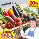 【ポイント20倍！】とびきりお得に野菜を買える！【16品】市