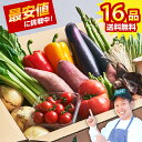 【100サイズ】とびきりお得に野菜を買える！【16品】市場直送 通年クール 野菜 セット 詰め合わせ 大満足 国産 クール便 九州 福岡 新鮮 安心 安全 おまかせ 安い 人気 送料無料 低温配送 じゃがいも にんじん たまねぎ