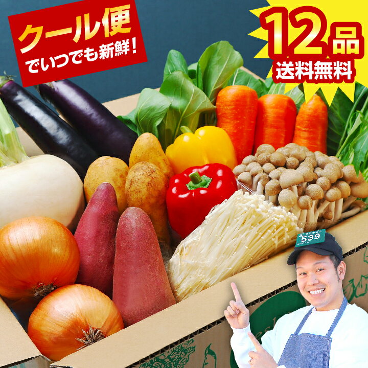 【100サイズ クール便】とびきりお得に野菜を買える！野菜セット 12品 約1週間分(3人分) 市場直送 通年..