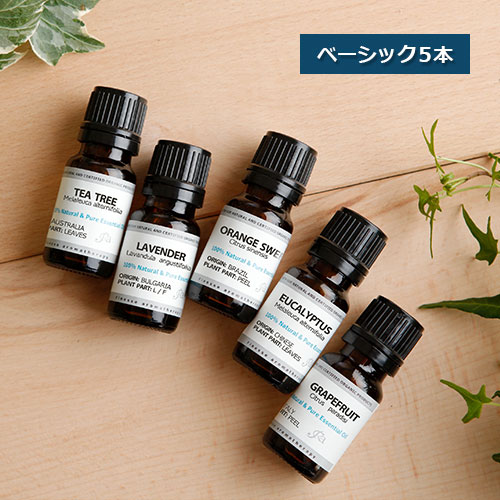  ベーシック10ML×5本セット 