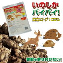害獣駆除 忌避剤 イノシシ対策 シカ対策 国産ヒトデ100% いのしかバイバイ! 300g 日本製 天然成分 猪対策 イノシシ駆除 イノシシ忌避剤 イノブタ 猪...