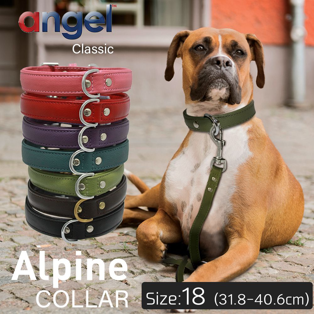 アウトレット エンジェル Alpine COLLAR 18インチ 犬 首輪 本革 柔らかい ソフトレザー 小型 子犬 大型 中型 高級 おしゃれ かわいい シンプル