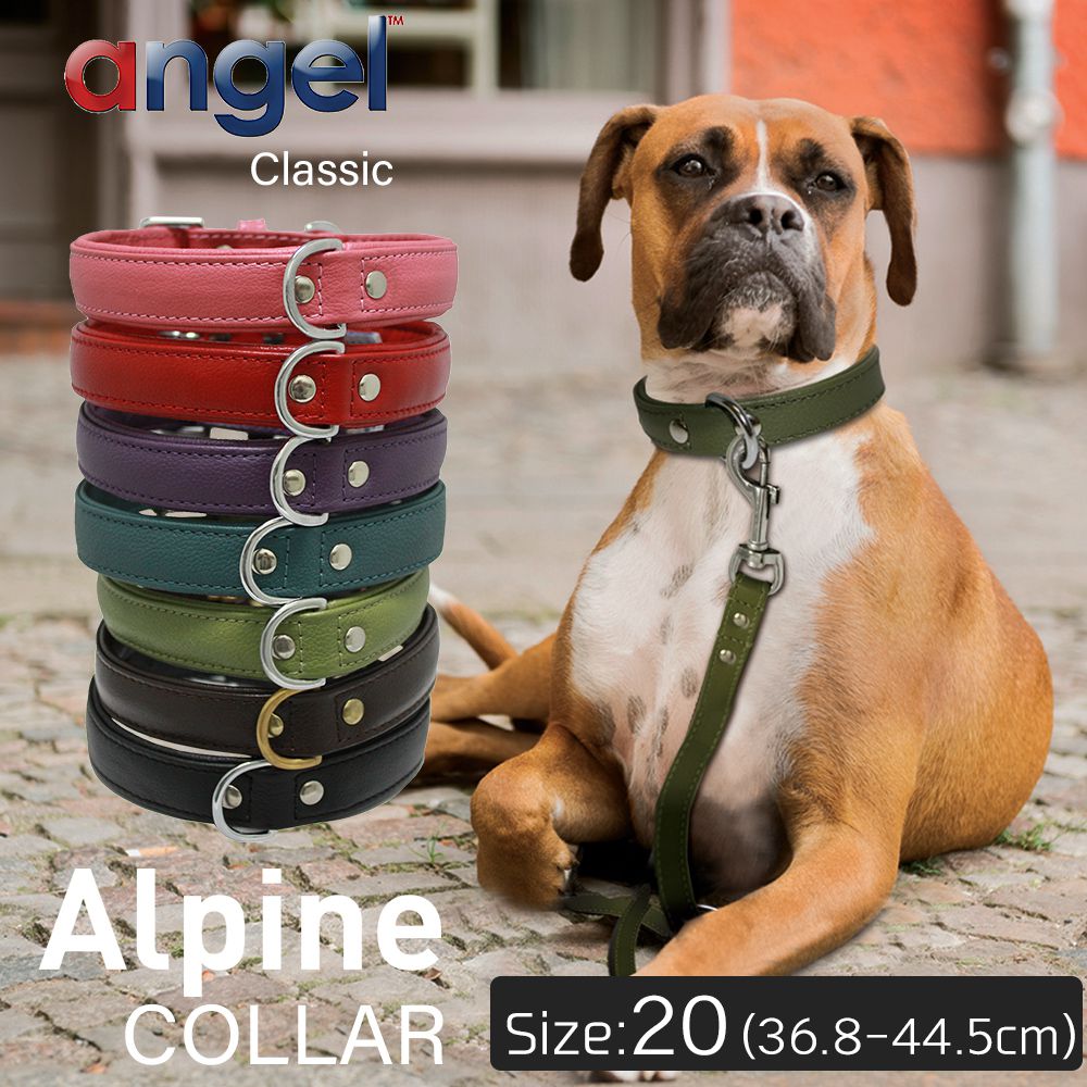 アウトレット エンジェル Alpine COLLAR 20インチ 犬 首輪 本革 柔らかい ソフトレザー 小型 子犬 大型 中型 高級 おしゃれ かわいい シンプル