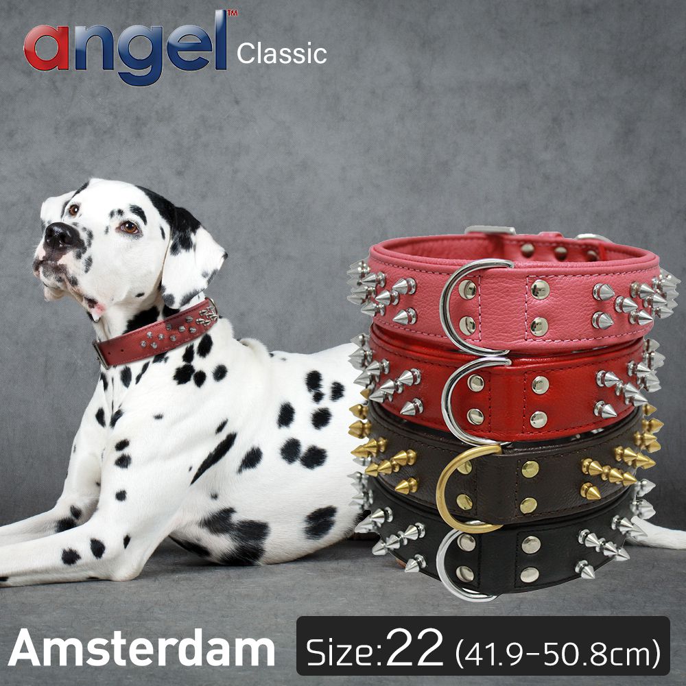 【Angel】アウトレット エンジェル amsterdam 22インチ 犬 首輪 本革 柔らかい ソフトレザー 大型 中型 高級 おしゃれ かっこいい スパイク