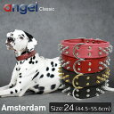 yAngelzAEgbg GWF amsterdam 24C`   {v _炩 \tgU[ ^ ^    XpCN