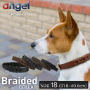 yAngelzAEgbg GWF Braided COLLAR u[fbh 18C`   {v ^J A[`v ^ q ^ ^   Vv Kтɂ