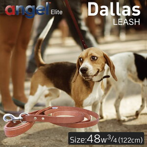 【Angel】エンジェル Dallas LEASH 48インチ w3/4 リード 犬 アルゼンチン産 牛革 本革 真鍮 大型 中型 高級 錆びにくい
