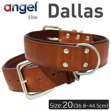 【Angel】アウトレット エンジェル Dallas 20インチ 首輪 犬 アルゼンチン産 牛革 本革 真鍮 小型 子犬 大型 中型 高級 シンプル 錆びにくい