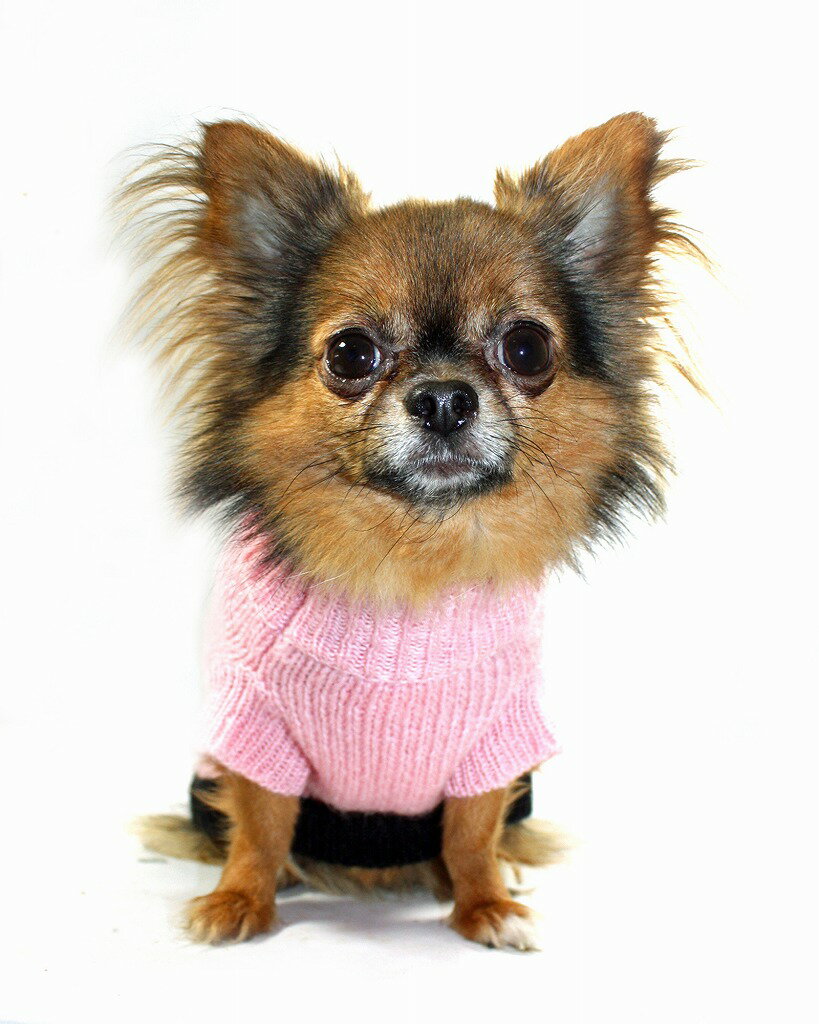 HIP DOGGIEʪȥå Classic COCO Mohair Sweater XS-M    Ҹ 淿  襤 ɴ Ȥ  ˥å   ܥ 7CLCP 7CLCC