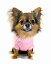 HIP DOGGIEʪȥå Classic COCO Mohair Sweater XS-M    Ҹ 淿  襤 ɴ Ȥ  ˥å   ܥ 7CLCP 7CLCC