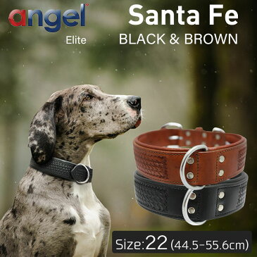【Angel】アウトレット エンジェル Santa Fe サンタフェ 24インチ 首輪 犬 アルゼンチン産 牛革 本革 真鍮 小型 子犬 大型 中型 高級 シンプル 錆びにくい