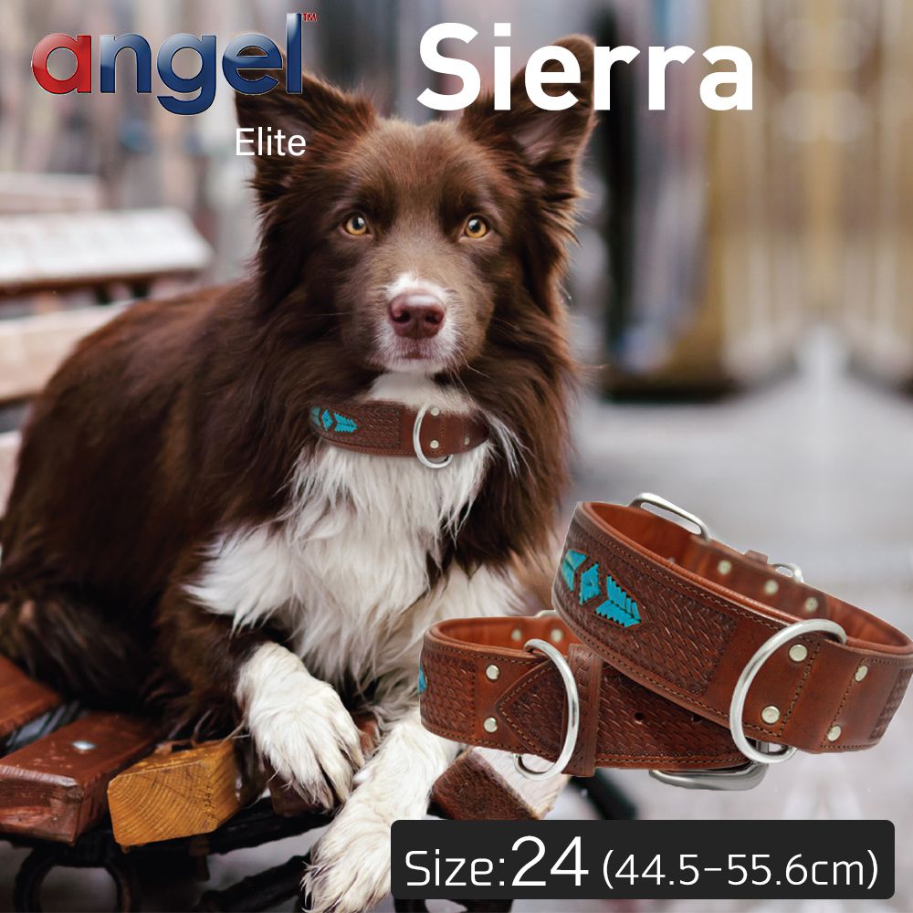 アウトレット エンジェル Sierra 24インチ 首輪 犬 アルゼンチン産 牛革 本革 真鍮 小型 子犬 大型 中型 高級 手彫り 錆びにくい