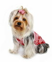 yHIP DOGGIEzAEgbg HD Red Cherry Dress XXS-M   ^ q ^  킢 t  hX  3RCD