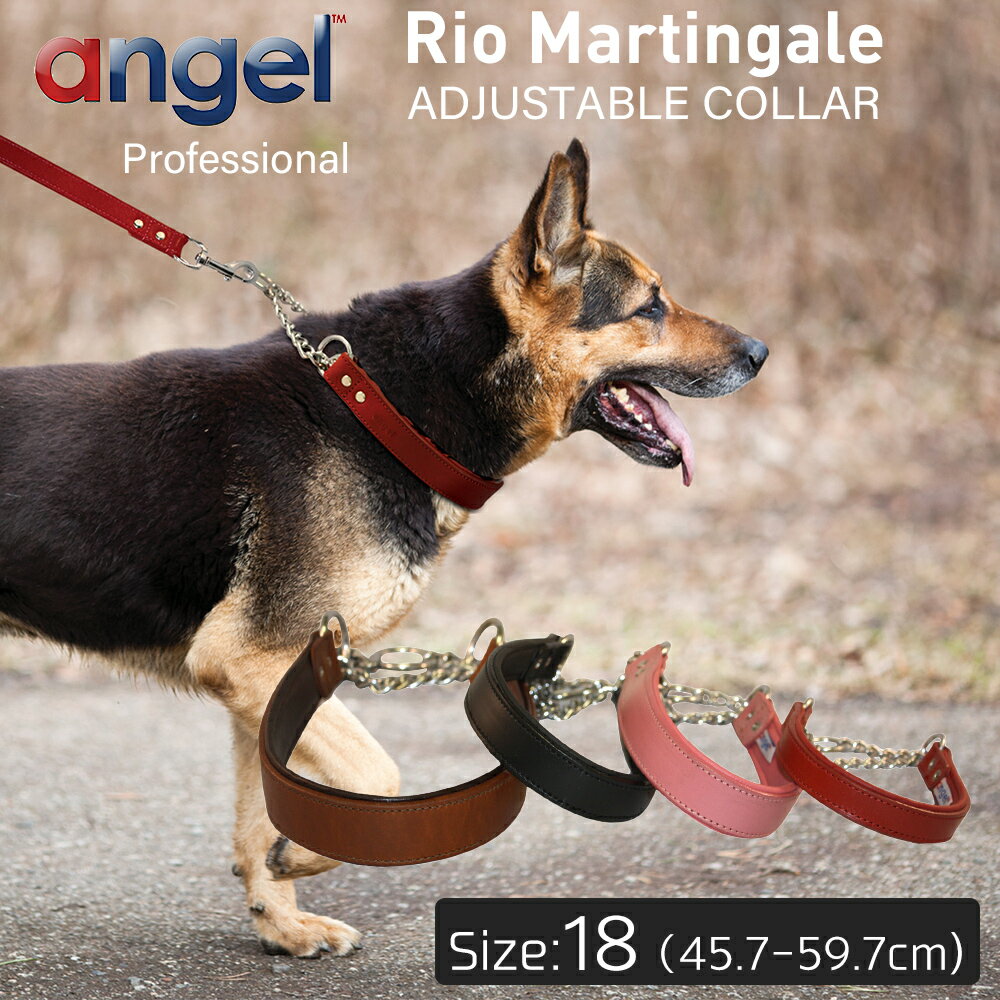 【Angel】アウトレット エンジェル Rio Martingale ADJUSTABLE COLLAR 18インチ 犬 首輪 本革 柔らかい ソフトレザー アルゼンチン牛革 トレーニング 訓練 小型 子犬 大型 中型 高級 おしゃれ シンプル ハーフチョーク