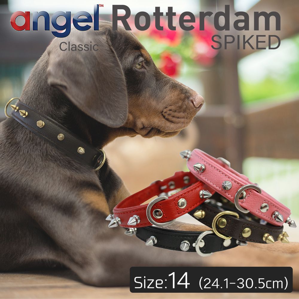 【Angel】アウトレット エンジェル Rotterdam SPIKED 14インチ 犬 首輪 本革 柔らかい ソフトレザー 大型 中型 高級 おしゃれ かっこいい スパイク