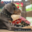 【Angel】アウトレット エンジェル Rotterdam SPIKED 22インチ 犬 首輪 本革 柔らかい ソフトレザー 大型 中型 高級 おしゃれ かっこいい スパイク