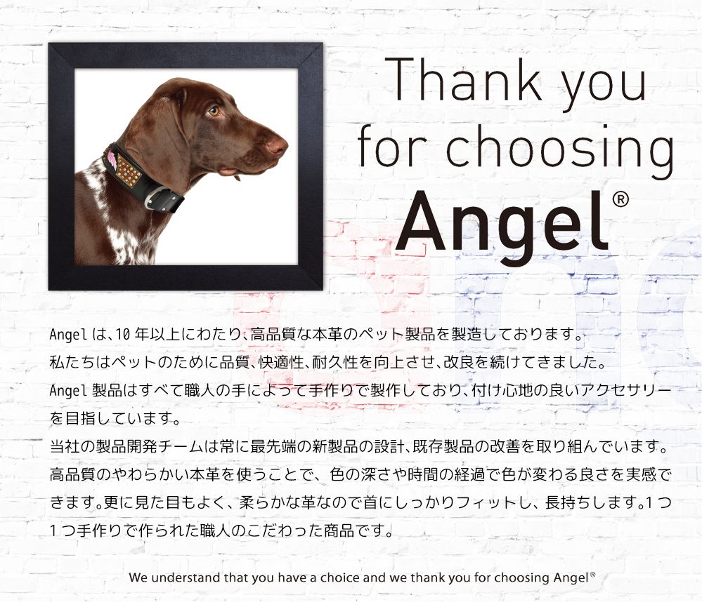 【Angel】エンジェル Rotterdam-HEARTS 22インチ 犬 首輪 本革 柔らかい ソフトレザー 小型 子犬 大型 中型 高級 おしゃれ かわいい ハート