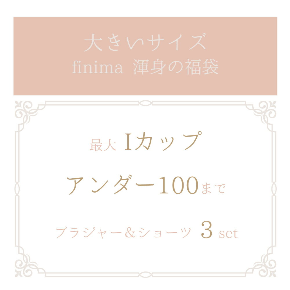 [楽天スーパーSALE価格]福袋 大きいサイズのブラセット3組入り下着福袋 [メール便不可]【送料無料※沖縄は追加送料】【ブラセット ブラ ショーツ ブラジャー ブラ福袋 下着 福袋 2022】